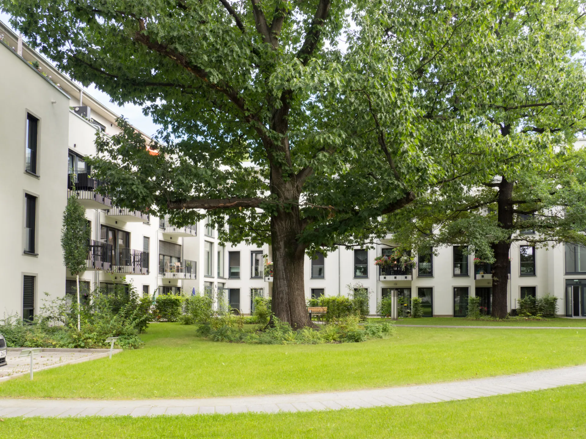 DSW24 – Dresder Servicewohnen GmbH – Eichen Carré Dresden-Niedersedlitz – Außenansicht Außenansicht des Eichen Carré in Dresden Niedersedlitz mit modernen Wohngebäuden und begrüntem Innenhofbereich mit großen Eichenbäumen.